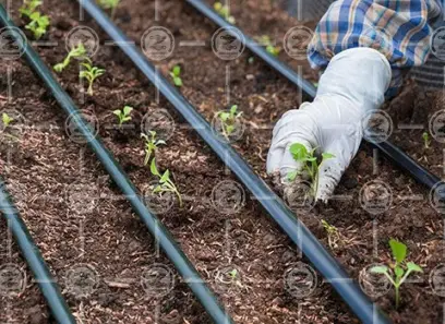 راهنمای خرید نوار تیپ پلاک دار + قیمت عالی